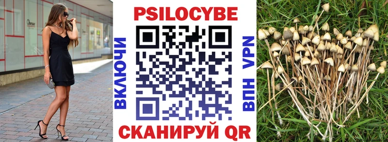 Псилоцибиновые грибы Magic Shrooms  Красноармейск 